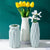 Modern Flower Vases